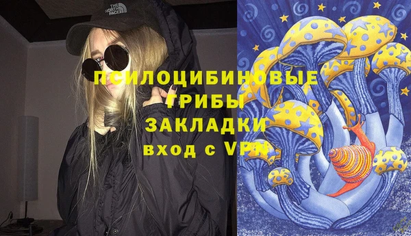 мдпв Беломорск